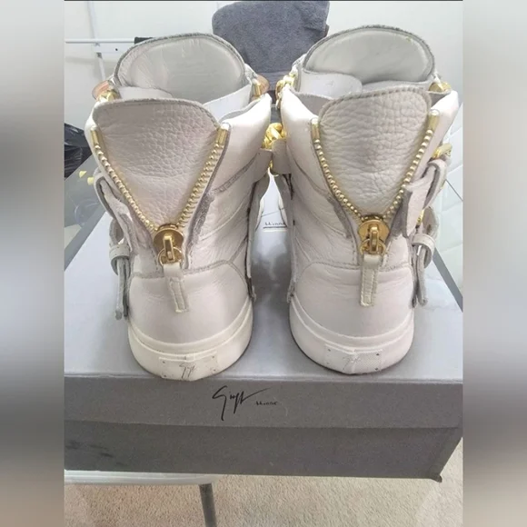 Giuseppe Zanotti's